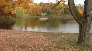 Downing Park. Newburgh, NY 12550
