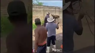 Caballo mata hombre NO LO VEAS
