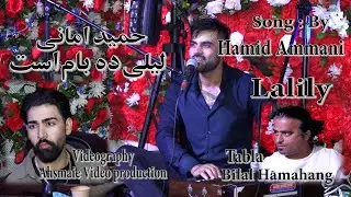 Hamid Amani  Laili Da Bam Ast_  حمید امانی آهنگ  لیلی ده بام است مجلسی