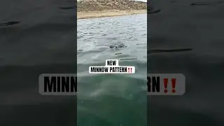 Новое объявление о мелкой рыбе!!!
