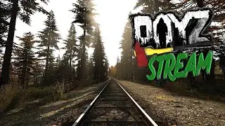 Dayz в поиске сервера pve/pvp! #1