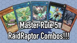 Raidraptor Combos for Master Rule 5