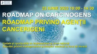 ROADMAP ON CARCINOGENS/ROADMAP PRIVIND AGENȚII CANCERIGENI