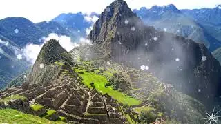 Cat Relaxing Music LIVE 24/7 🌿 Calm Piano &bull; Deep Sleep &bull; Study &bull; Stress Relief