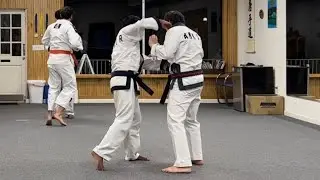 Practical Tang Soo Do - Warm Up Combo Drill