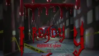 Starview x Calico - Ready