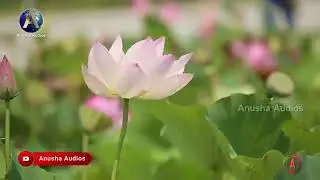 నిత్యము స్తుతియించిన నీ ఋణము తీర్చలేము.... Anusha Audios songs