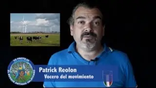 Bosque Antiguo Valdiviano - Videoresumen