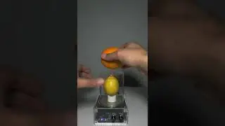 ⚠️ What Happens Next Will Shock You! 😲