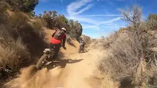 The Desert has so many features that I never would have imagined.
