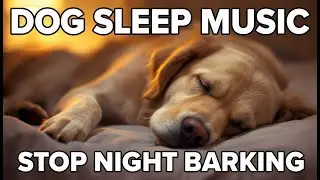 8 HOURS Dog Calming Music to Stop Nighttime Barking & Soothe Anxious Dogs