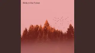 Birds at Dusk