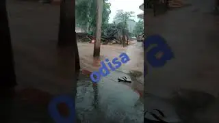 #nitishkumar #funny #automobile #comedy #xlm #hh #yoyotvchannel #rripalu #w990 #vegan #funnymusic