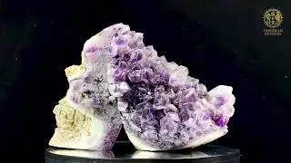 Cr&acirc;ne de Cristal en Am&eacute;thyste brute &ndash; Guide des Seuils