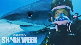 Adam DeVine Tags a Tiger Shark! | Shark Week
