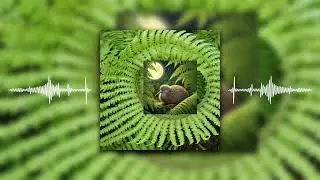 The Music of Plants: Composing with Koru Fern