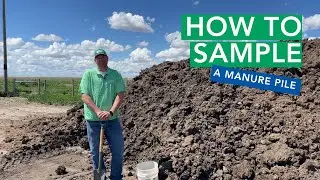 How to Sample a Manure Pile