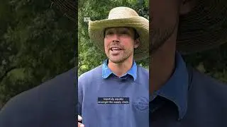What do Australian graziers think of Trump's beef tariffs? | ABC News