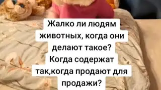 Немного из жизни приюта.