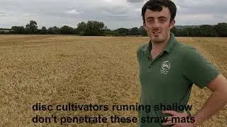 Fighting spring oat stubbles