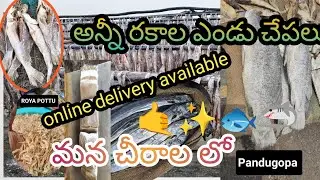 Chirala dry fish market 🦈🐟🦐🍤/dry fish in chirala wholesale price #jeevanajyothivodarevuvlogs