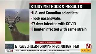 First case of animal to human covid transmission