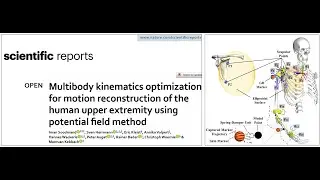 Motion reconstruction of the human upper extremity using potential field method