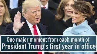 President Donald Trump's first year in office