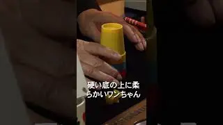 Лучший фокусник Японии