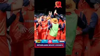#zimvsned #cricketdaily #t20 #teamindia #india #t20worldcup#wc #cricket #shorts #cricketshorts #YT20