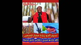 نسور الجوه اليوم في سماء الضعين #السعودية #قطر #الكويت #اليمن #الأردن #السودان_المغرب #اليمن 