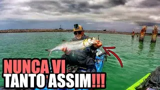 PARECIA UM CARDUME DE LAMBARI | PESCA DE UBARANA