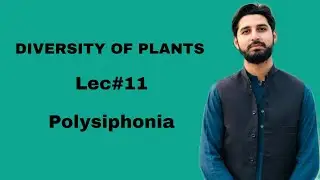 Lec#11 | Polysiphonia | Diversity of Plants | HS BIOLOGY