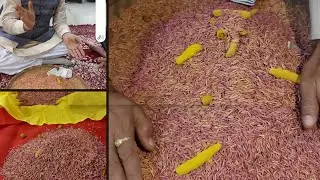 Dhanbatti I  Bihari Ritual | shadivlog | First ceremony #dhanbatti #biharirituals 