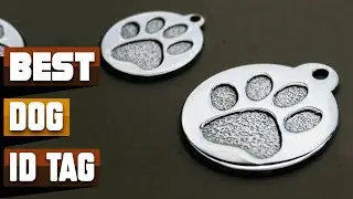 Best Dog ID Tag In 2025 - Top 10 Dog ID Tags Review