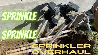 NO NOT AGAIN SPRINKLER SYSTEM OVERHAUL