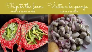 Trip to the farms, broad bean salad , Vlog- Visita a la granja y ensalada de habas, Vlog
