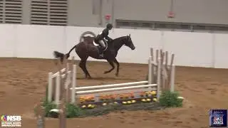 2021 Quarter Horse Congress Non Pro Hunter Classic Finals Morgan Ratkowski on Better Buy The Minit