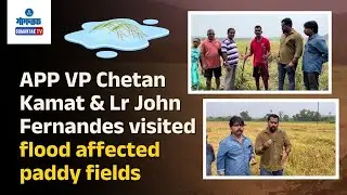 APP VP Chetan Kamat & leader John Fernandes visited multiple flood affected paddy fields | Gomantak