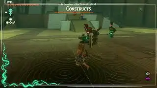 Zelda Tears of the kingdom supply gathering