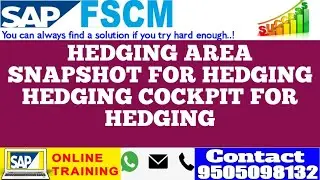 SAP FSCM TREASURY|| HEDGE MANAGEMENT|| HEDGING AREA||SNAPSHOT|| HEDGE MANAGEMENT COCKPIT