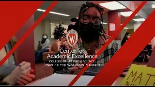 Center for Academic Excellence: A Historic Overview