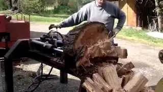 multi cut log splitter