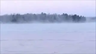 Trumpeter Swans Over Frozen Fifth Crow Wing Lake, Nevis MN