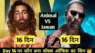 Animal vs Jawan Day 16 Comparison/Animal Day 16 Box Office Collection/#akrmoviesuniverse