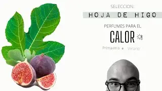 |Perfumes para el Calor: Hoja de Higo| My Scent Journey