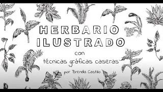 Herbario ilustrado con técnicas gráficas caseras | Tutorial