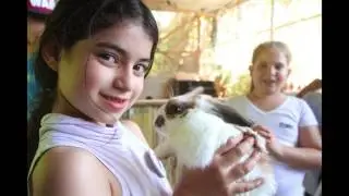 בית ספר ידלין : שוק האיכרים 2017