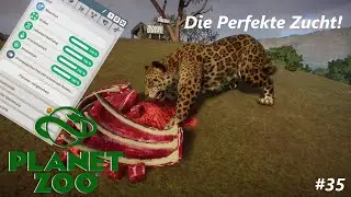 Die Perfekte Zucht! | Planet Zoo #35
