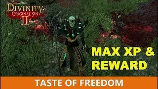 Вкус свободы: максимальный опыт и награда (Divinity Original Sin 2)
